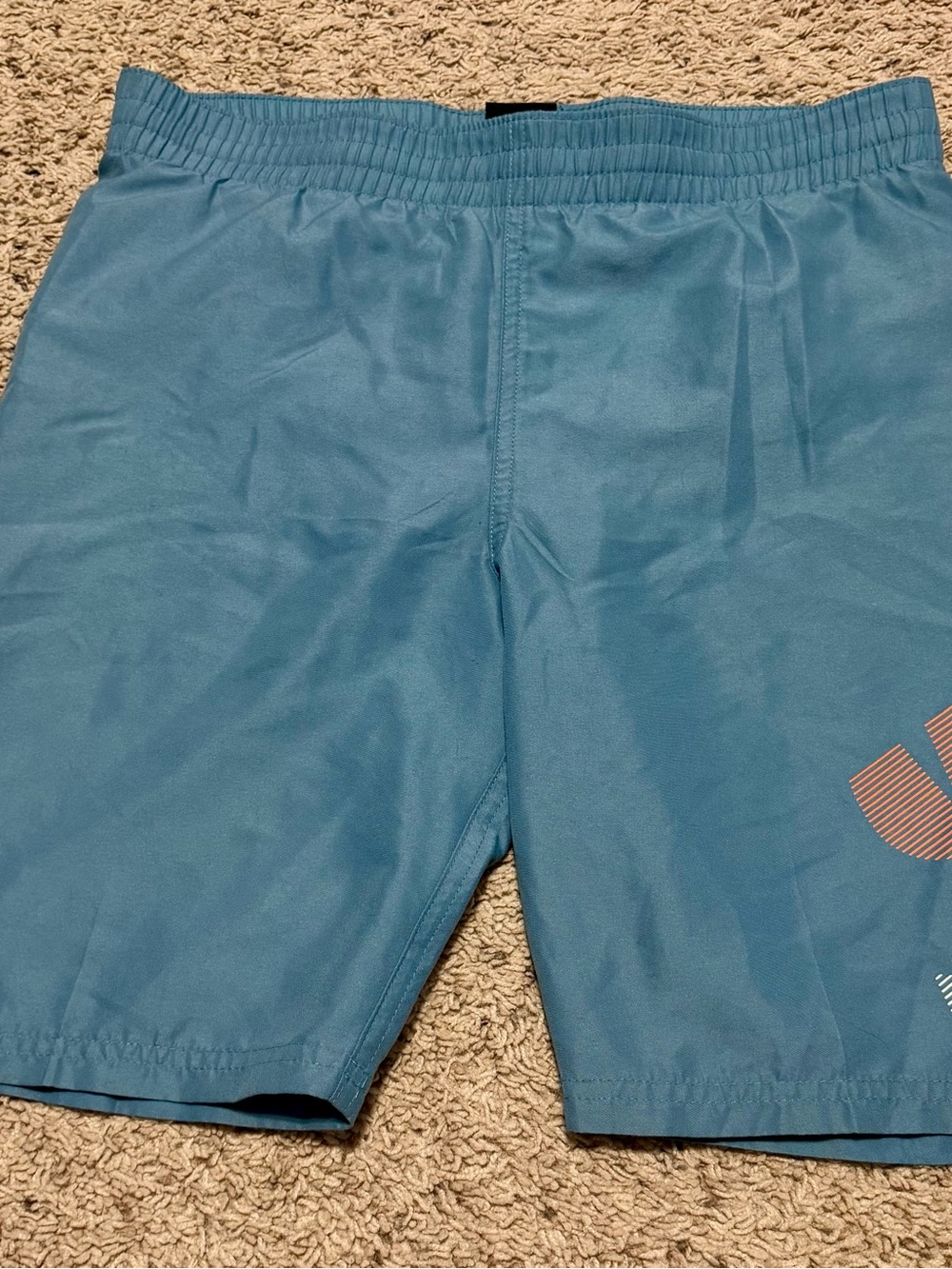 Nike Boys' Light Teal Swim Trunks